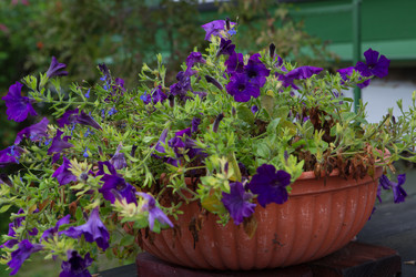 Similar image 21074144