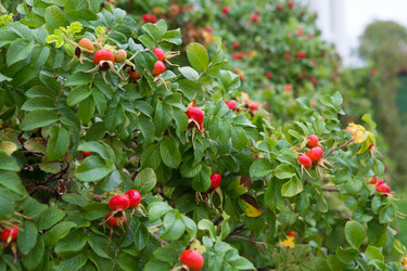 Similar image 21074145