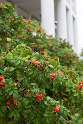 Similar image 21074146