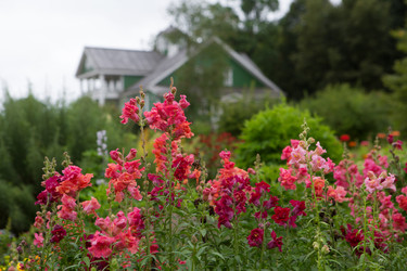 Similar image 21074148