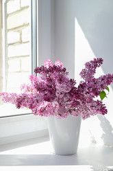 Similar image 21074348