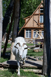 Similar image 21074351