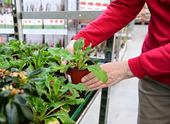 Similar image 21074291