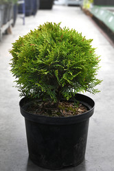 Similar image 21074352