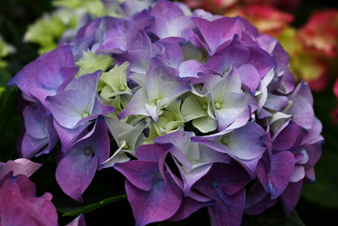 Similar image 21074357