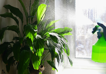 Similar image 21074384