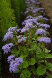 Similar image 21077869