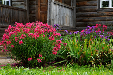 Similar image 21077876