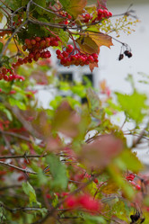 Similar image 21075198