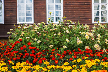 Similar image 21077883