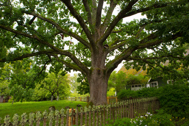 Similar image 21077710