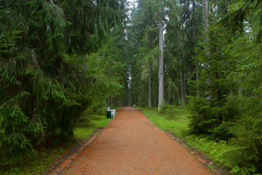 Similar image 21077723