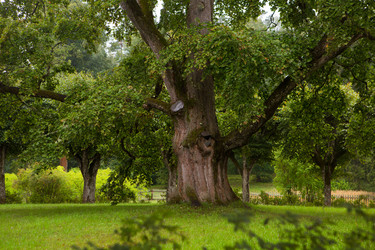 Similar image 21077733