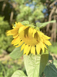 Similar image 21074686