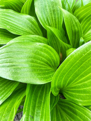 Similar image 21074687