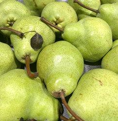 Similar image 21074688