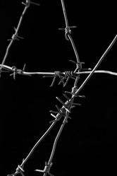 Similar image 21076447