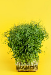 Similar image 21074310