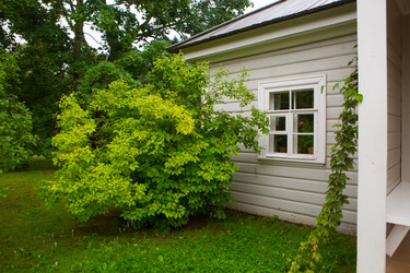 Similar image 21077736