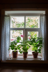 Similar image 21077742