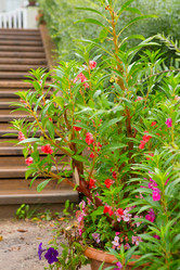 Similar image 21077743