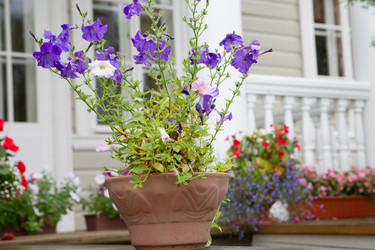 Similar image 21077745