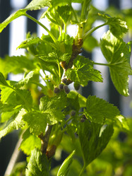 Similar image 21074689