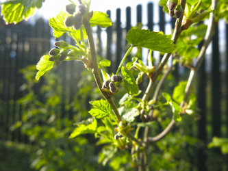 Similar image 21074690