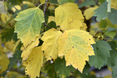 Similar image 21074722