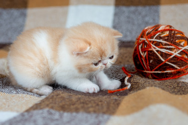 Similar image 21075207