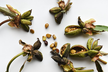 Similar image 21074692