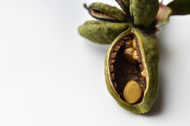 Similar image 21074693