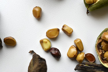 Similar image 21074694