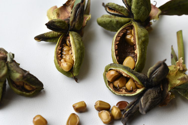 Similar image 21074695