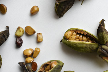 Similar image 21074696