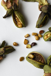 Similar image 21074697