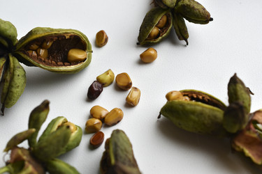 Similar image 21074698