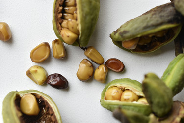 Similar image 21074699