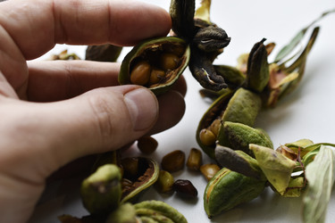 Similar image 21074701