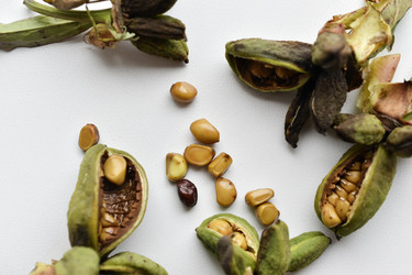 Similar image 21074702