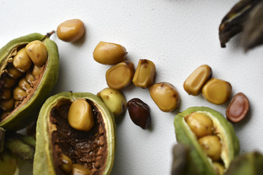 Similar image 21074703