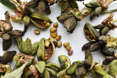 Similar image 21074704