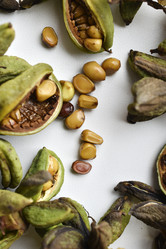 Similar image 21074723