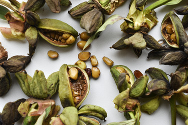 Similar image 21074724