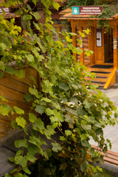 Similar image 21077585