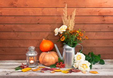 Similar image 21076456