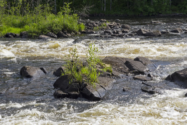 Similar image 21075211