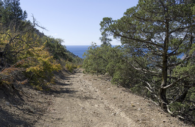 Similar image 21075220