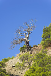 Similar image 21075233