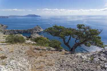 Similar image 21075236